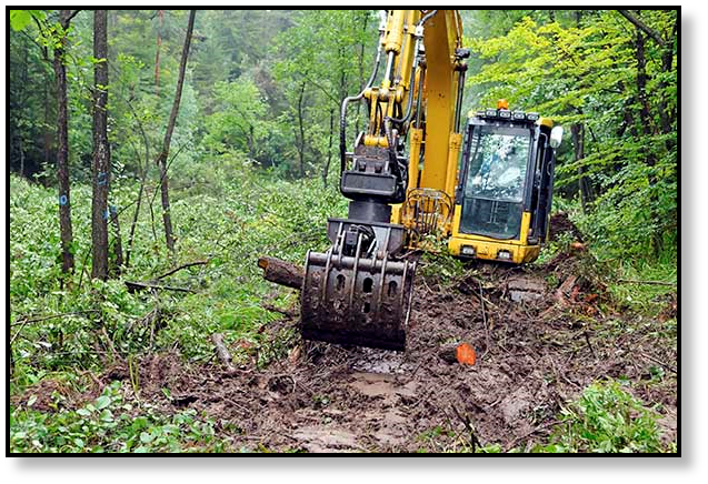 Texas Final Drive Forestry industry drives